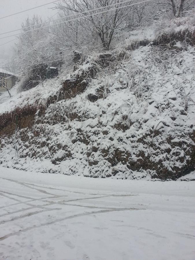 Holiday Bnb Manali Εξωτερικό φωτογραφία